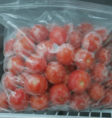 A clear, resealable plastic bag filled with frozen, frost-covered whole red tomatoes resting on a white wire rack inside a freezer.