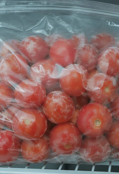 A clear, resealable plastic bag filled with frozen, frost-covered whole red tomatoes resting on a white wire rack inside a freezer.