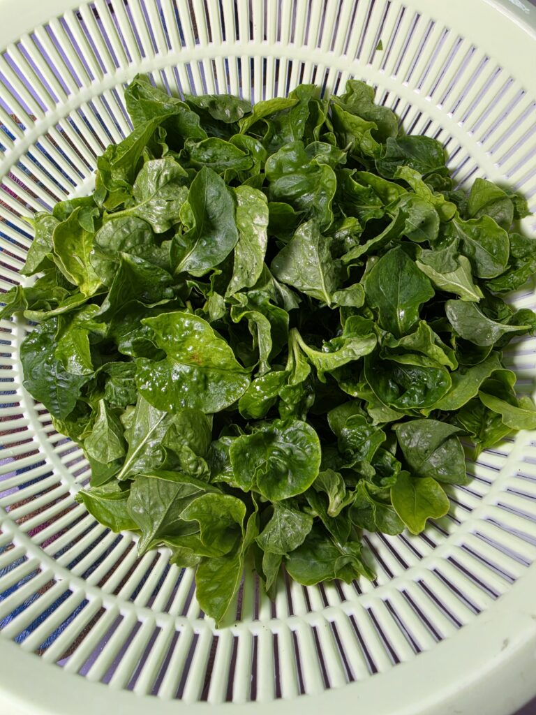 Local spinach
